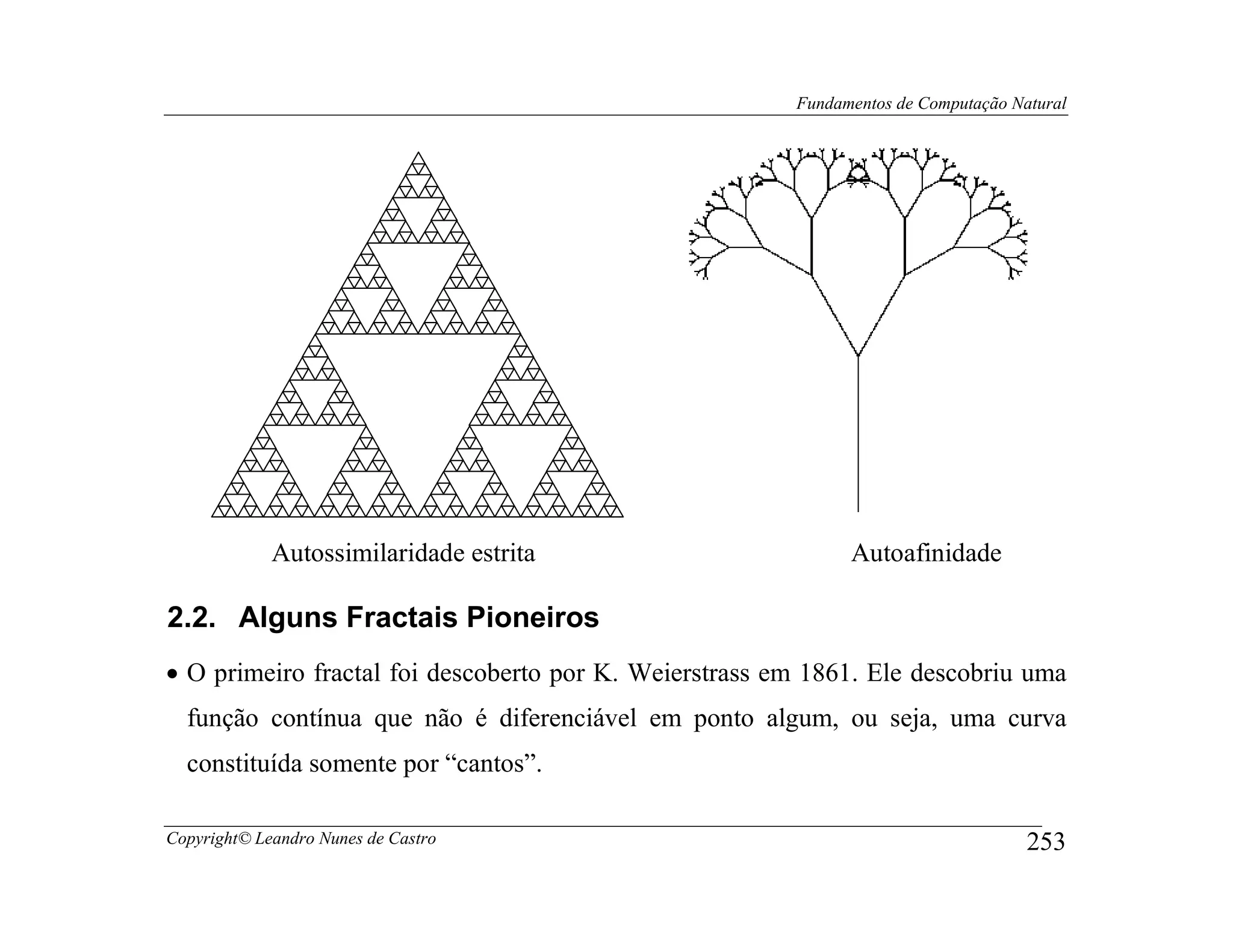 Fundamentos de Computação Natural




             Autossimilaridade estrita                        Autoafinidade

2.2. Alguns Fractais Pioneiros
• O primeiro fractal foi descoberto por K. Weierstrass em 1861. Ele descobriu uma
  função contínua que não é diferenciável em ponto algum, ou seja, uma curva
  constituída somente por “cantos”.

Copyright© Leandro Nunes de Castro                                                  253
 