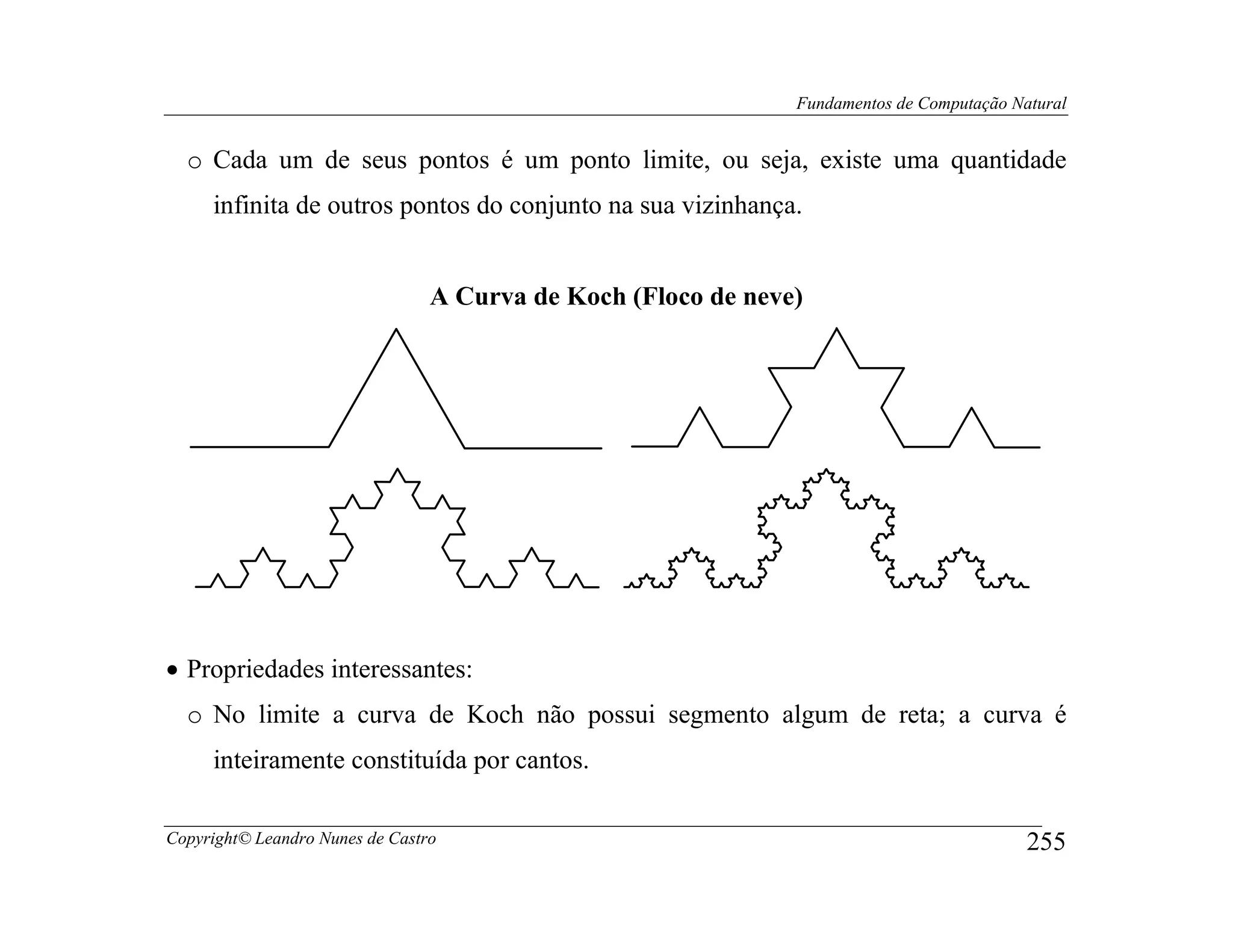 Fundamentos de Computação Natural


  o Cada um de seus pontos é um ponto limite, ou seja, existe uma quantidade
     infinita de outros pontos do conjunto na sua vizinhança.


                                 A Curva de Koch (Floco de neve)




• Propriedades interessantes:
  o No limite a curva de Koch não possui segmento algum de reta; a curva é
     inteiramente constituída por cantos.

Copyright© Leandro Nunes de Castro                                                         255
 