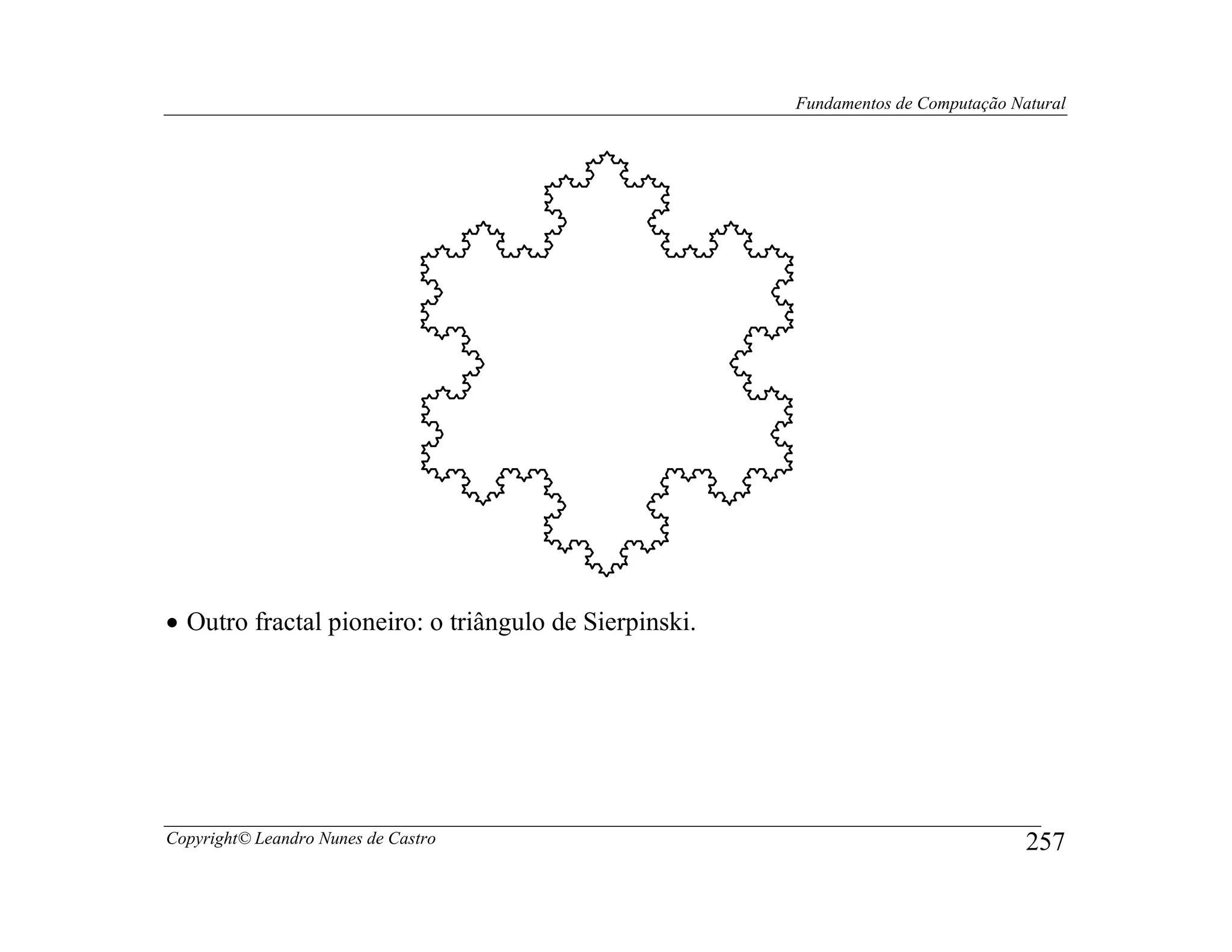 Fundamentos de Computação Natural




• Outro fractal pioneiro: o triângulo de Sierpinski.




Copyright© Leandro Nunes de Castro                                                 257
 