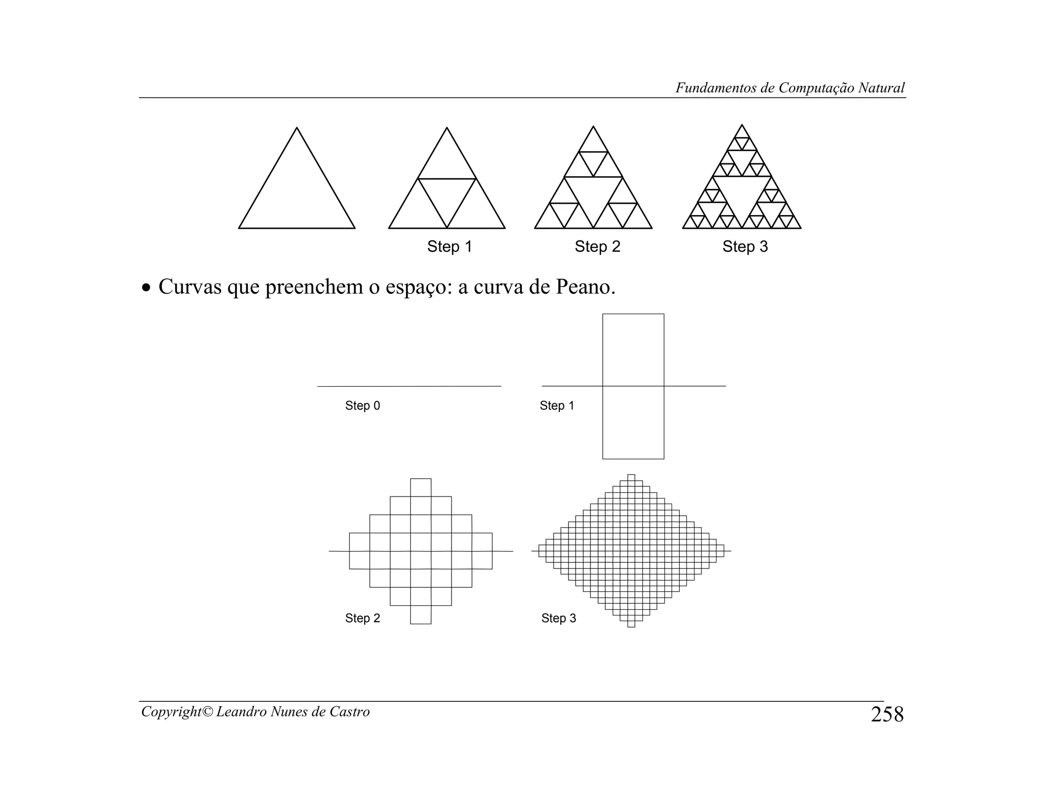 Fundamentos de Computação Natural




                                       Step 1        Step 2         Step 3

• Curvas que preenchem o espaço: a curva de Peano.




                              Step 0            Step 1




                              Step 2            Step 3




Copyright© Leandro Nunes de Castro                                                        258
 