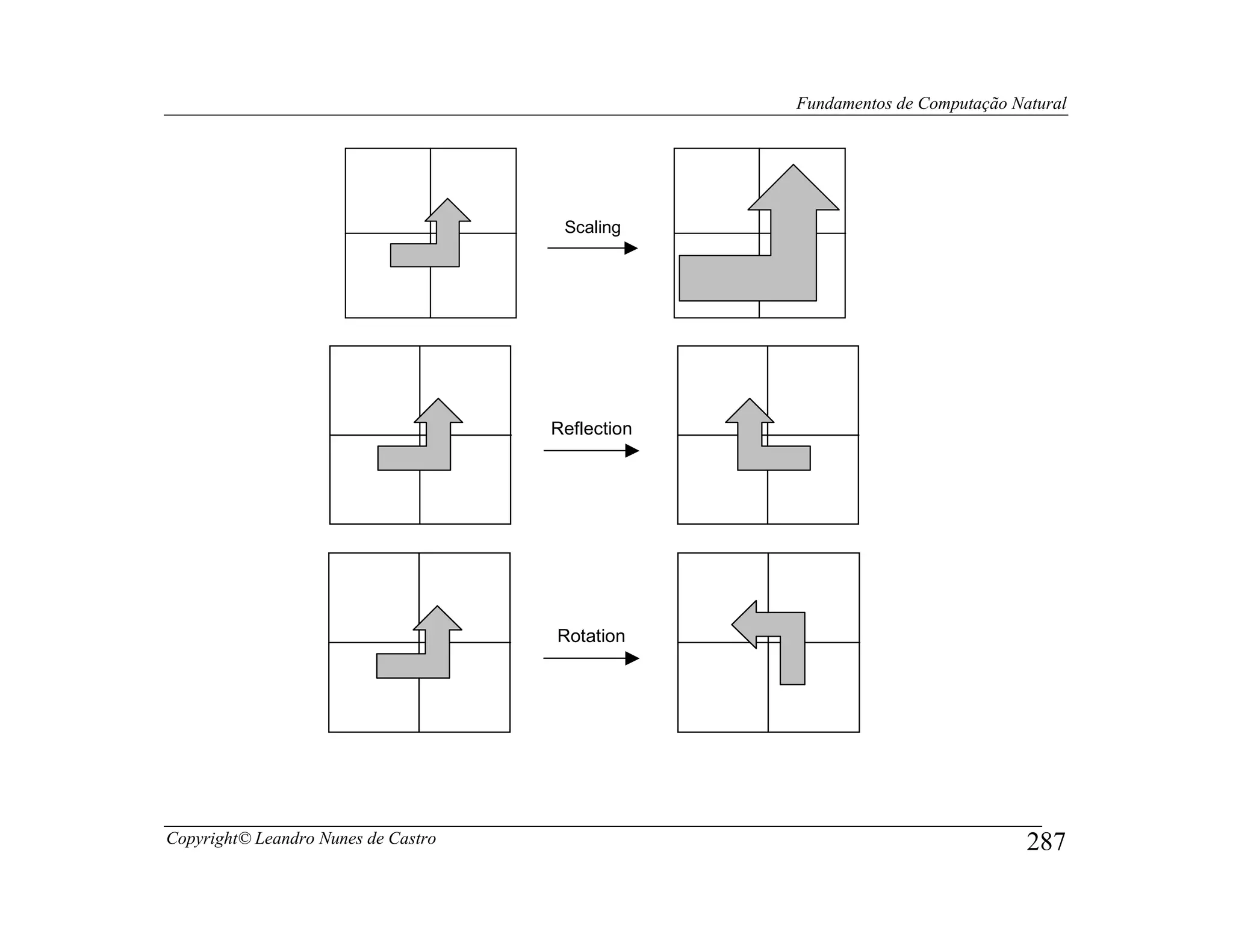 Fundamentos de Computação Natural




                                      Scaling




                                     Reflection




                                     Rotation




Copyright© Leandro Nunes de Castro                                            287
 