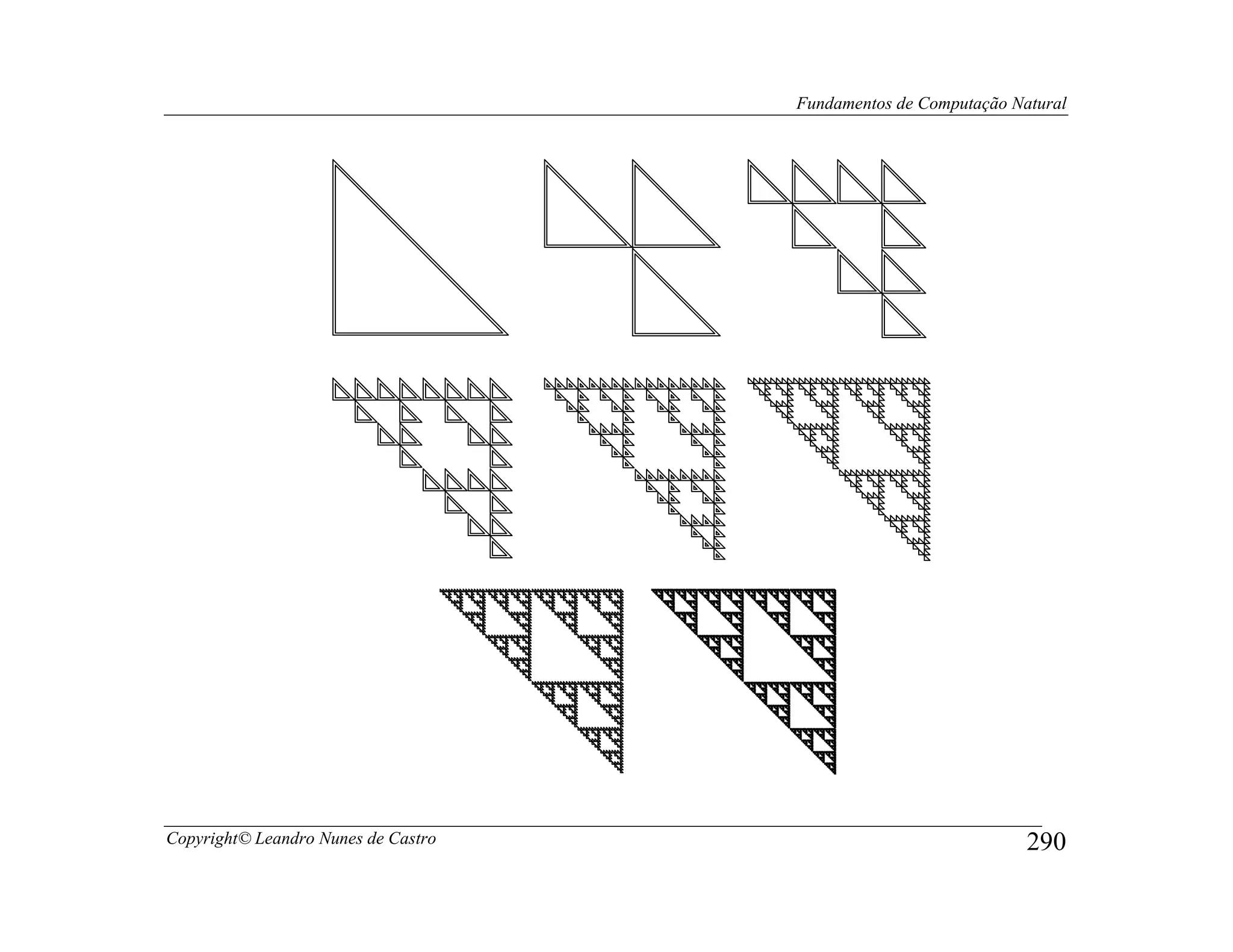 Fundamentos de Computação Natural




Copyright© Leandro Nunes de Castro                               290
 
