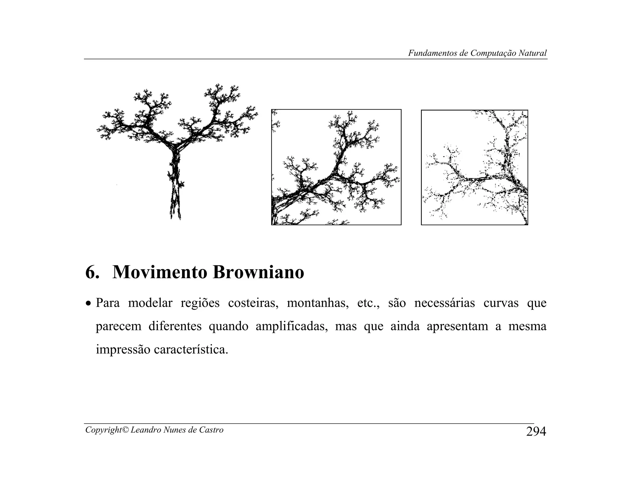 Fundamentos de Computação Natural




6. Movimento Browniano
• Para modelar regiões costeiras, montanhas, etc., são necessárias curvas que
  parecem diferentes quando amplificadas, mas que ainda apresentam a mesma
  impressão característica.




Copyright© Leandro Nunes de Castro                                               294
 