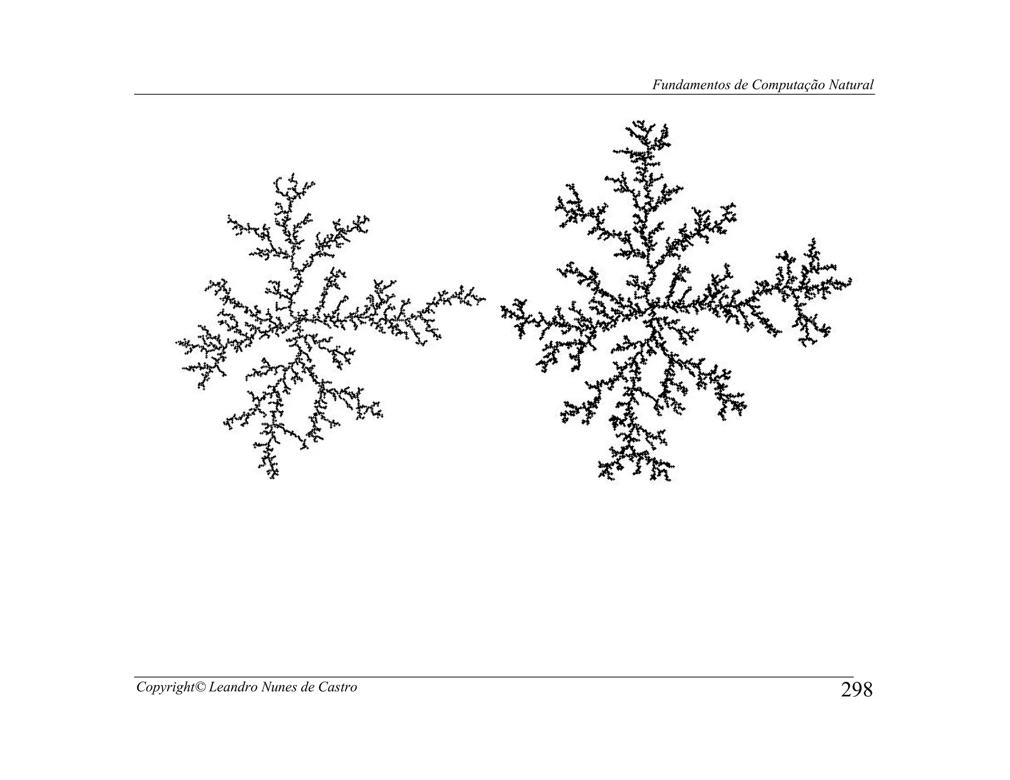 Fundamentos de Computação Natural




Copyright© Leandro Nunes de Castro                               298
 