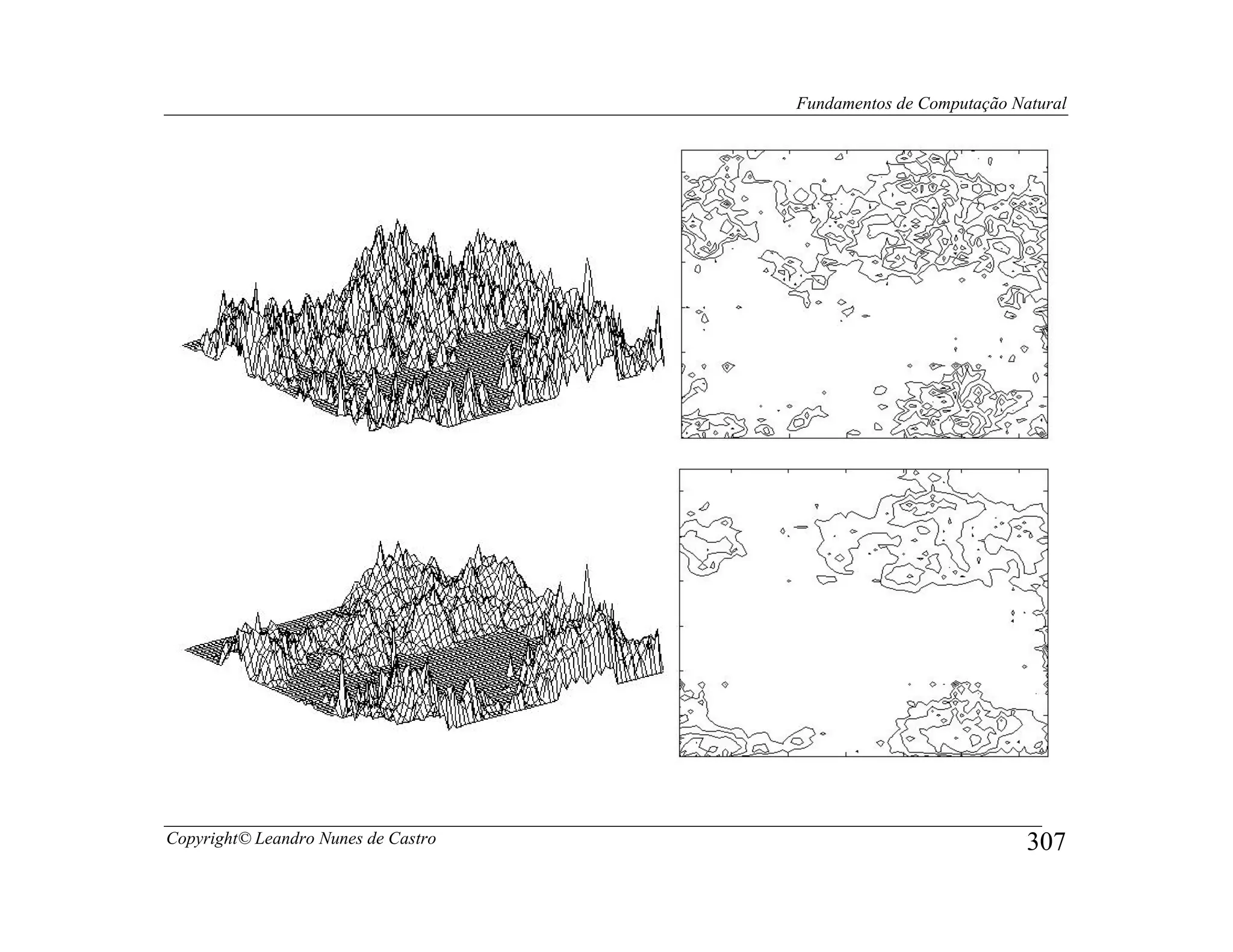 Fundamentos de Computação Natural




Copyright© Leandro Nunes de Castro                               307
 
