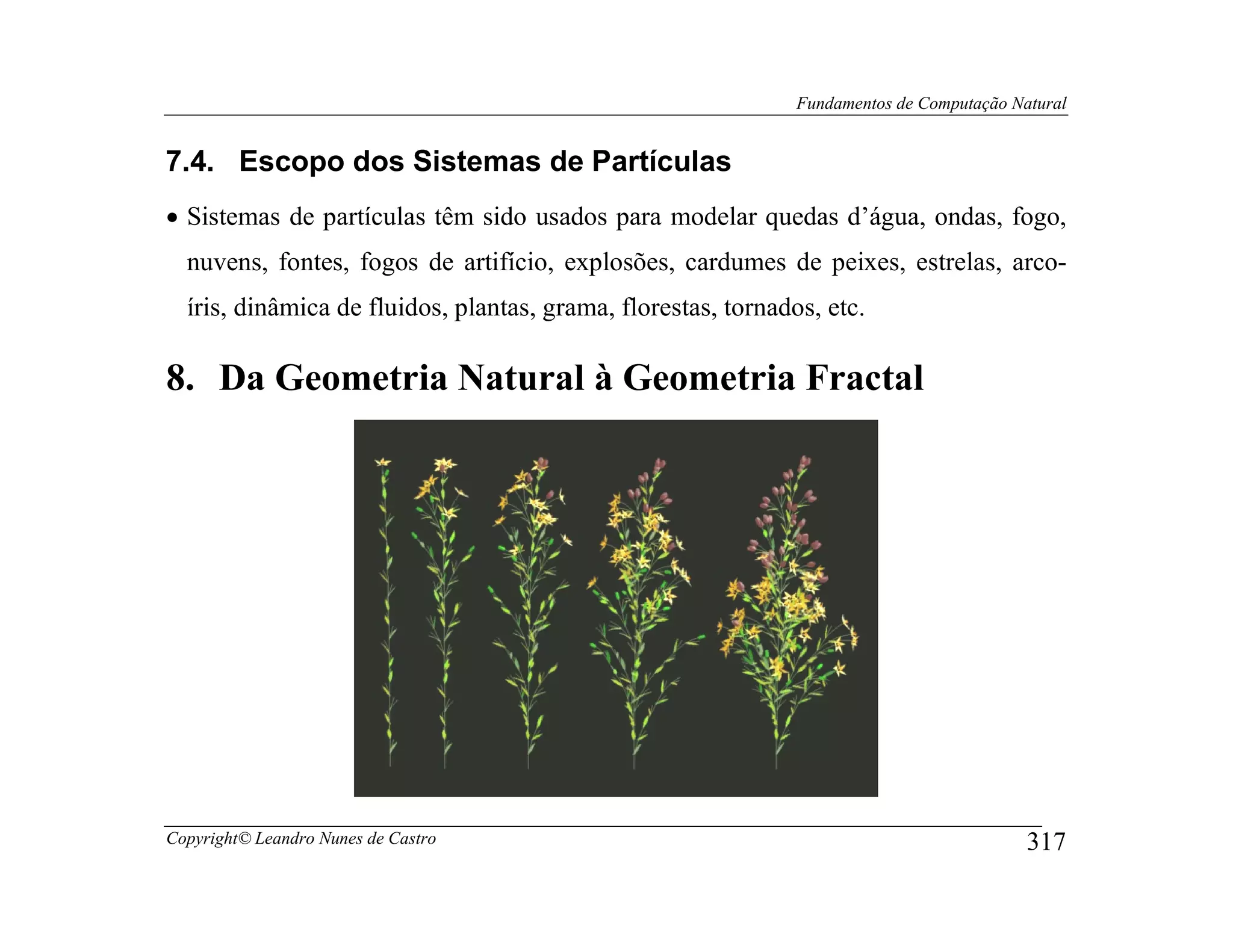 Fundamentos de Computação Natural


7.4. Escopo dos Sistemas de Partículas
• Sistemas de partículas têm sido usados para modelar quedas d’água, ondas, fogo,
  nuvens, fontes, fogos de artifício, explosões, cardumes de peixes, estrelas, arco-
  íris, dinâmica de fluidos, plantas, grama, florestas, tornados, etc.

8. Da Geometria Natural à Geometria Fractal




Copyright© Leandro Nunes de Castro                                                         317
 