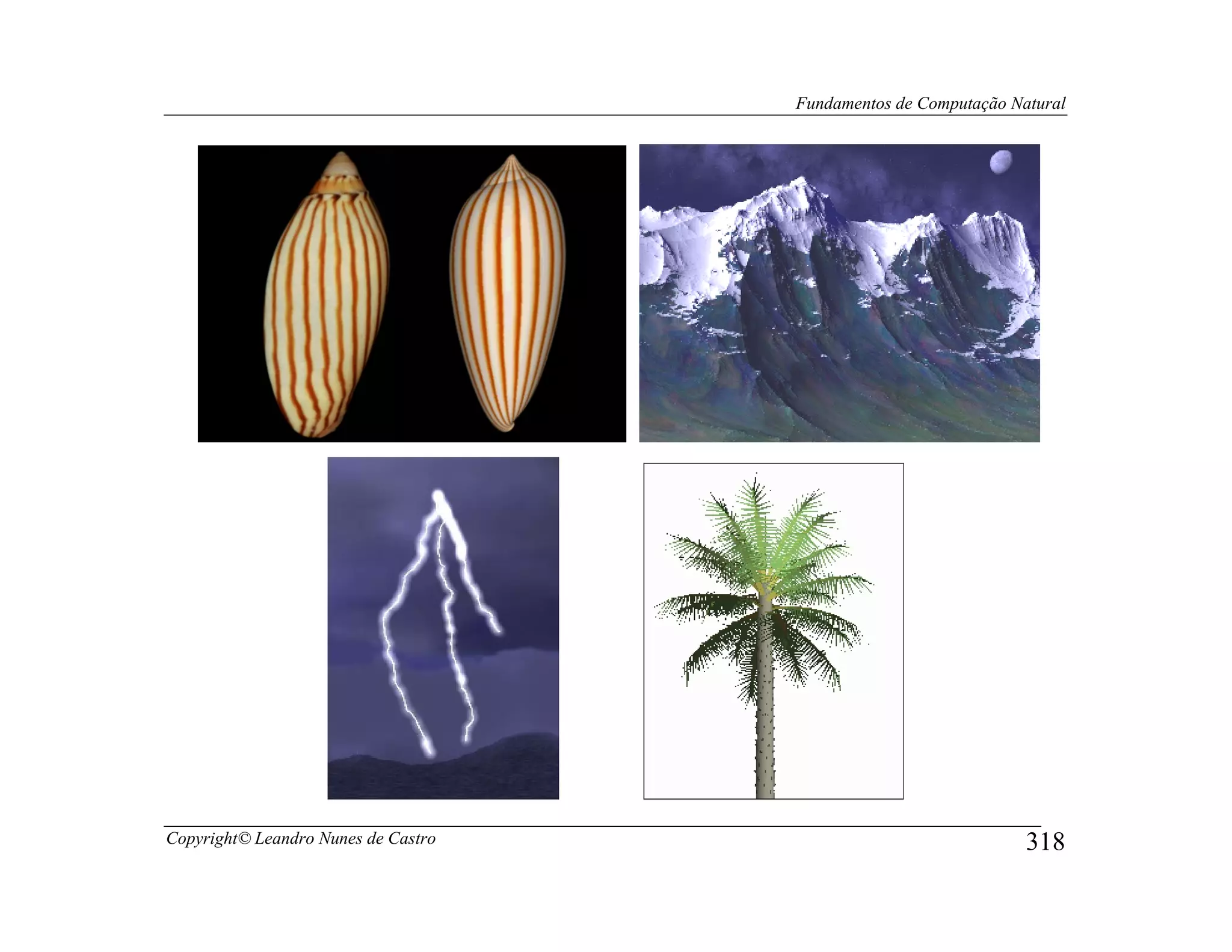 Fundamentos de Computação Natural




Copyright© Leandro Nunes de Castro                               318
 