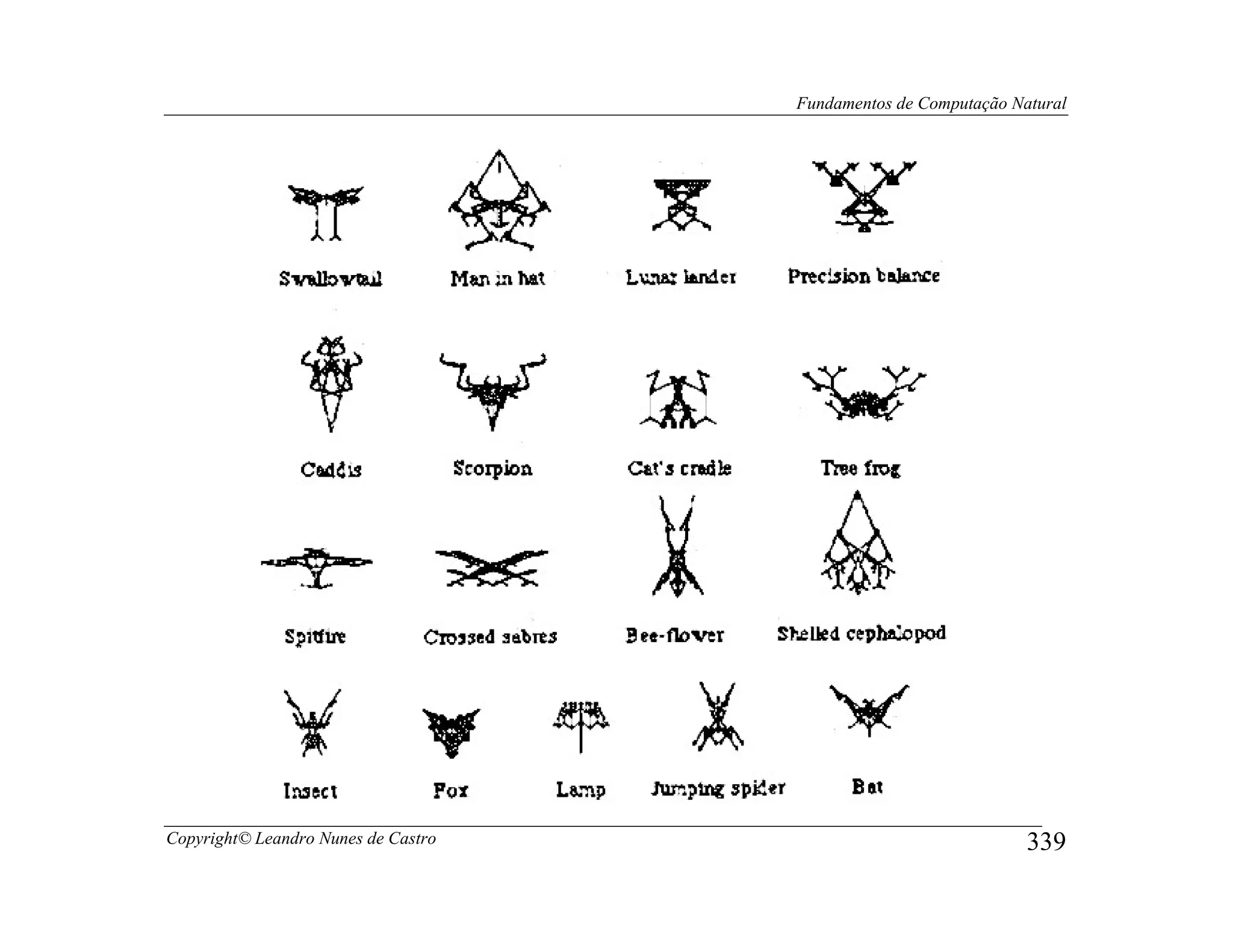 Fundamentos de Computação Natural




Copyright© Leandro Nunes de Castro                               339
 