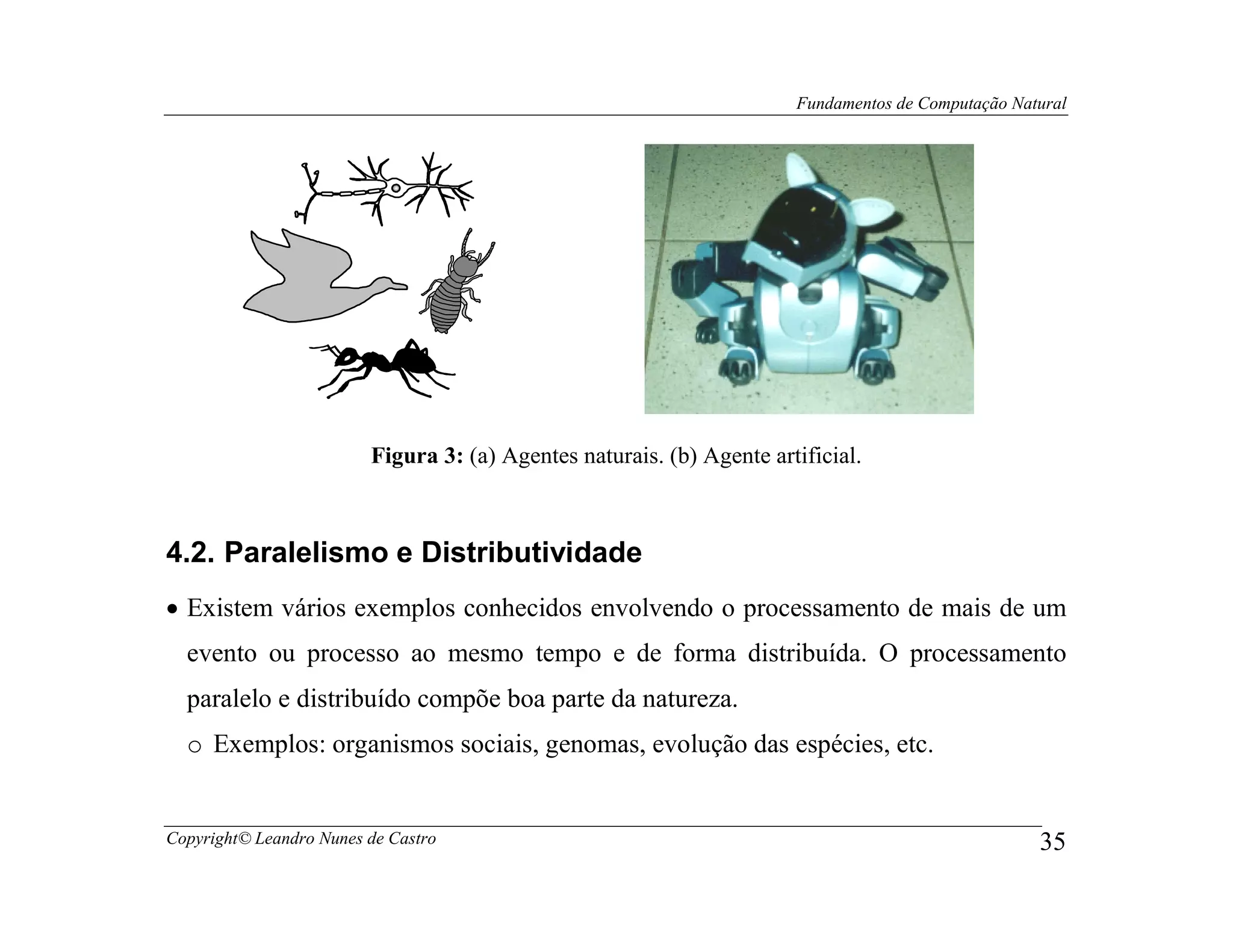 Fundamentos de Computação Natural




                         Figura 3: (a) Agentes naturais. (b) Agente artificial.



4.2. Paralelismo e Distributividade
• Existem vários exemplos conhecidos envolvendo o processamento de mais de um
  evento ou processo ao mesmo tempo e de forma distribuída. O processamento
  paralelo e distribuído compõe boa parte da natureza.
  o Exemplos: organismos sociais, genomas, evolução das espécies, etc.


Copyright© Leandro Nunes de Castro                                                                  35
 