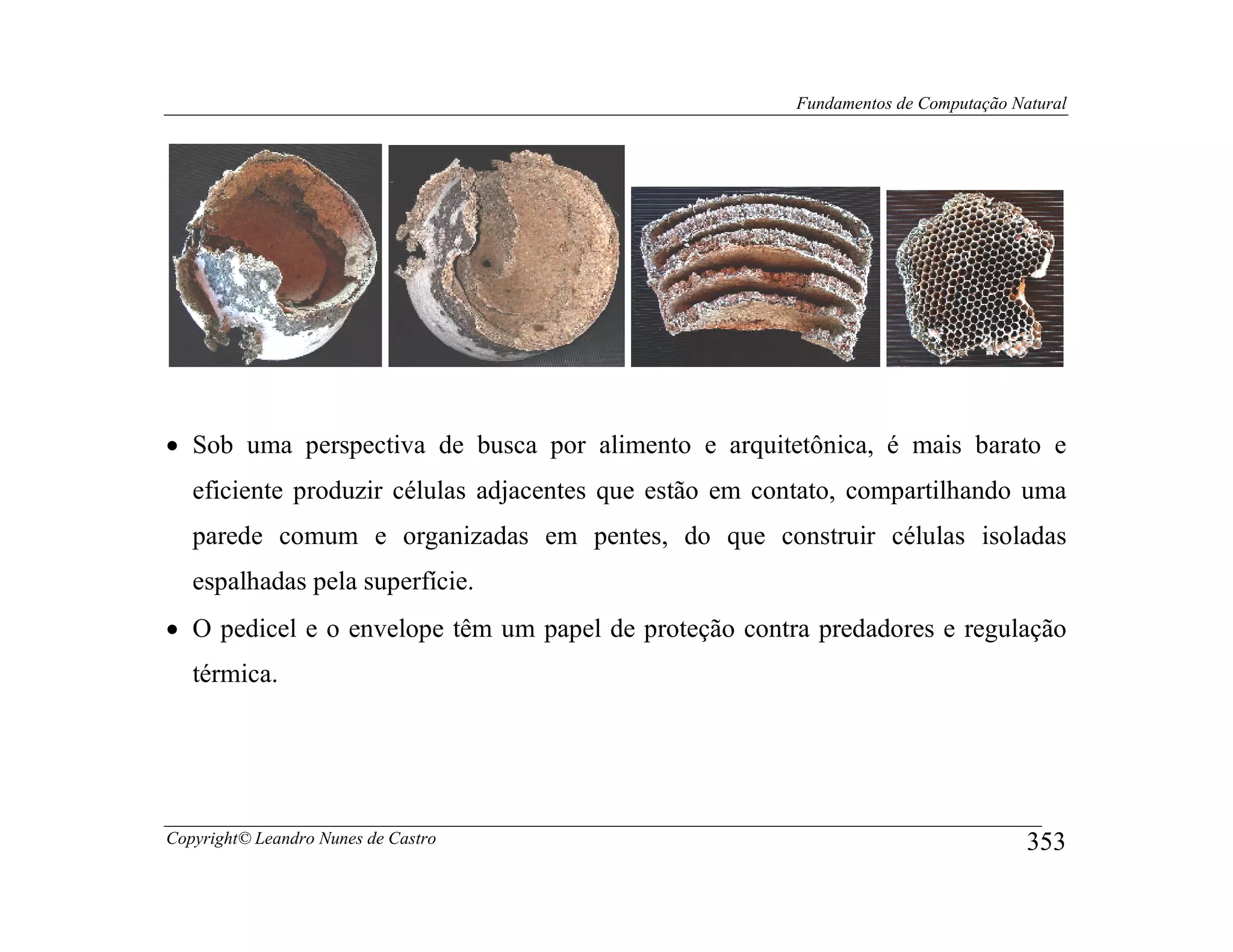 Fundamentos de Computação Natural




• Sob uma perspectiva de busca por alimento e arquitetônica, é mais barato e
   eficiente produzir células adjacentes que estão em contato, compartilhando uma
   parede comum e organizadas em pentes, do que construir células isoladas
   espalhadas pela superfície.
• O pedicel e o envelope têm um papel de proteção contra predadores e regulação
   térmica.




Copyright© Leandro Nunes de Castro                                                  353
 