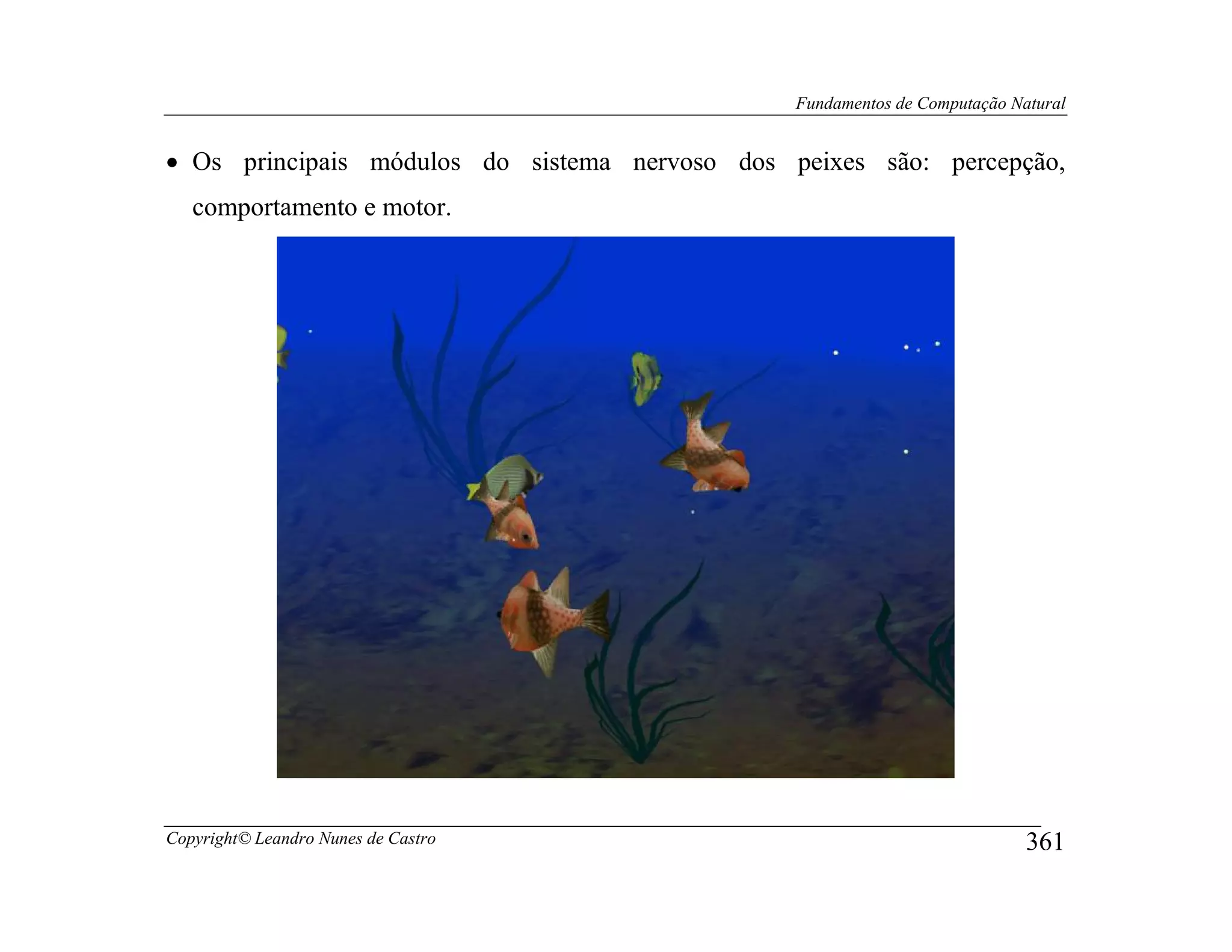 Fundamentos de Computação Natural


• Os principais módulos do sistema nervoso dos peixes são: percepção,
   comportamento e motor.




Copyright© Leandro Nunes de Castro                                          361
 