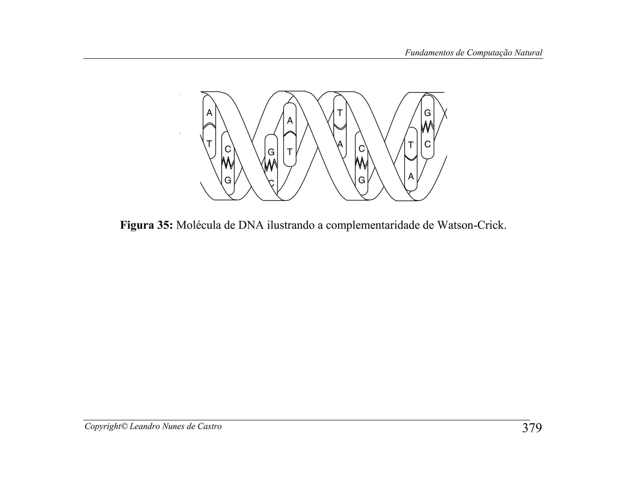 Fundamentos de Computação Natural




                              A                  T                 G
                                             A

                              T                  A             T   C
                                     C   G   T       C


                                     G               G         A
                                         C



        Figura 35: Molécula de DNA ilustrando a complementaridade de Watson-Crick.




Copyright© Leandro Nunes de Castro                                                        379
 