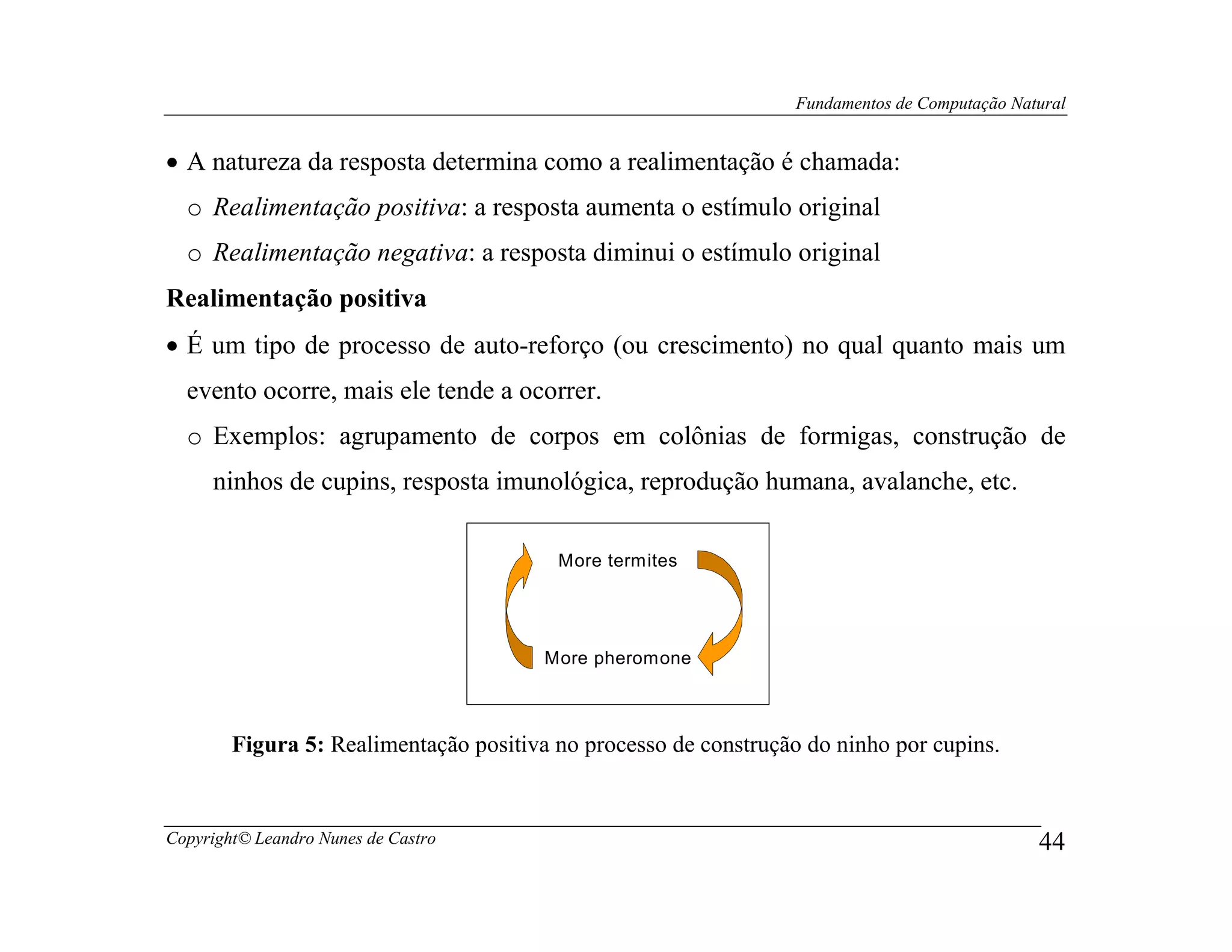 Fundamentos de Computação Natural


• A natureza da resposta determina como a realimentação é chamada:
  o Realimentação positiva: a resposta aumenta o estímulo original
  o Realimentação negativa: a resposta diminui o estímulo original
Realimentação positiva
• É um tipo de processo de auto-reforço (ou crescimento) no qual quanto mais um
  evento ocorre, mais ele tende a ocorrer.
  o Exemplos: agrupamento de corpos em colônias de formigas, construção de
     ninhos de cupins, resposta imunológica, reprodução humana, avalanche, etc.

                                         More termites




                                        More pheromone



        Figura 5: Realimentação positiva no processo de construção do ninho por cupins.


Copyright© Leandro Nunes de Castro                                                            44
 