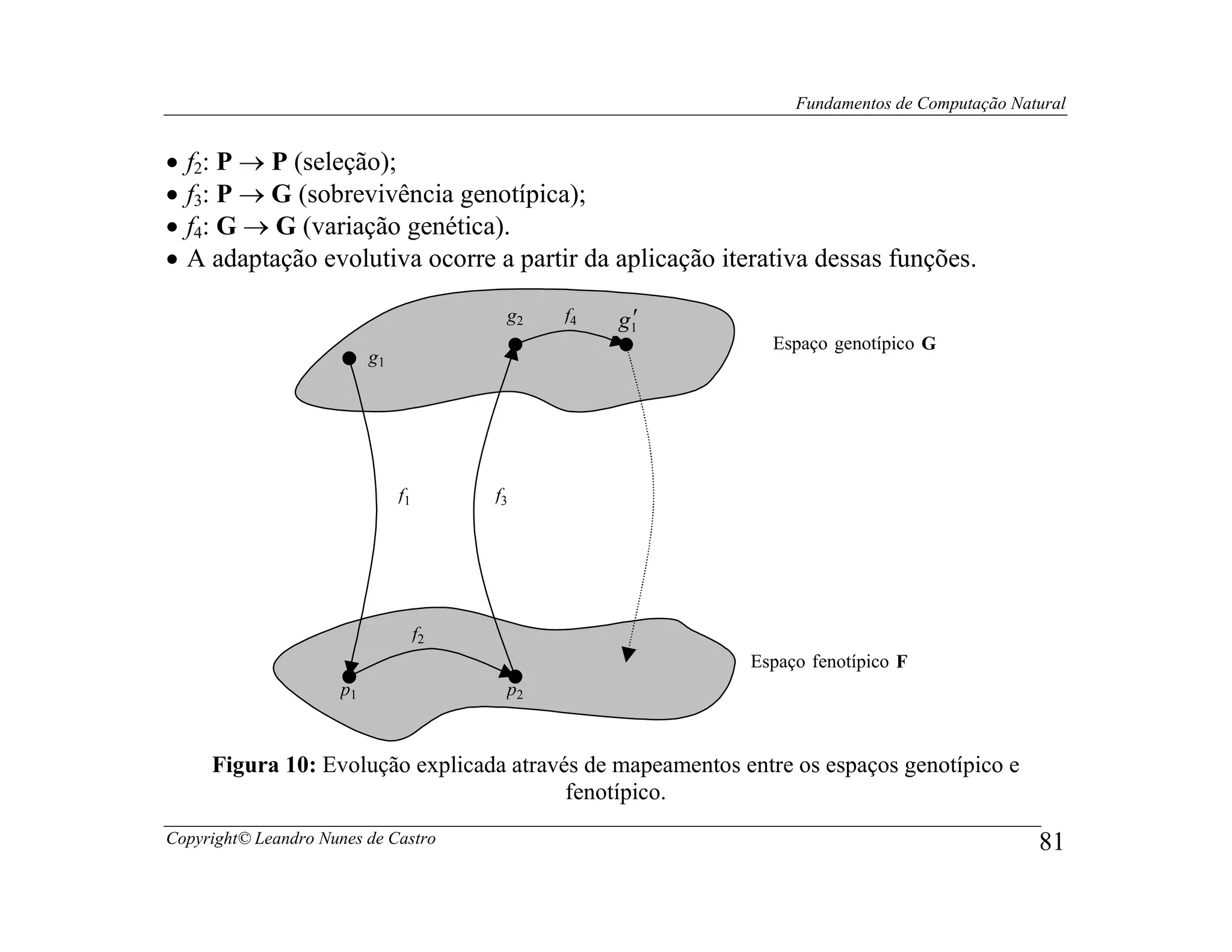 Fundamentos de Computação Natural


•   f2: P → P (seleção);
•   f3: P → G (sobrevivência genotípica);
•   f4: G → G (variação genética).
•   A adaptação evolutiva ocorre a partir da aplicação iterativa dessas funções.

                                           g2   f4    ′
                                                     g1
                                                              Espaço genotípico G
                           g1




                                f1        f3




                                     f2
                                                            Espaço fenotípico F
                      p1                   p2



      Figura 10: Evolução explicada através de mapeamentos entre os espaços genotípico e
                                          fenotípico.
Copyright© Leandro Nunes de Castro                                                            81
 