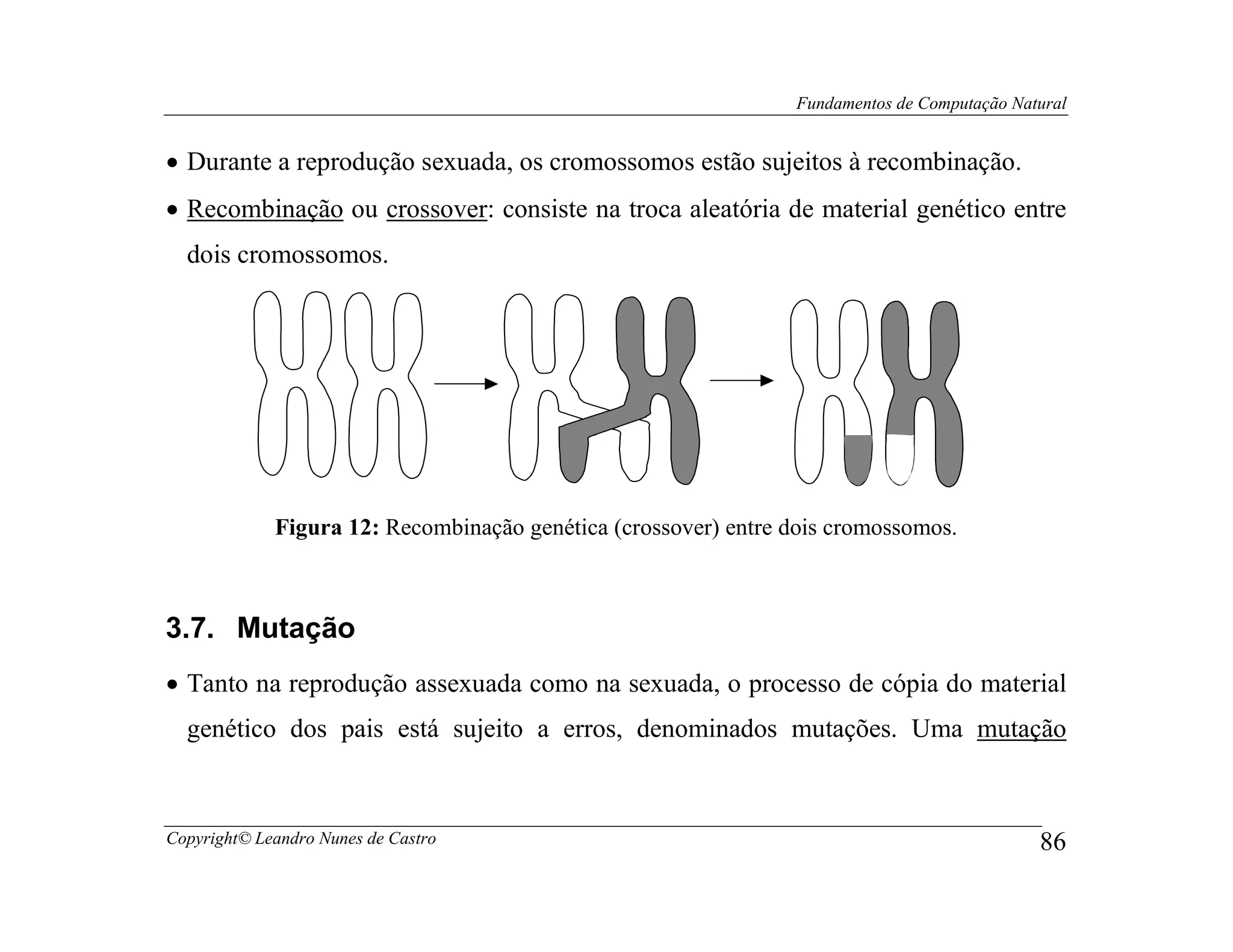 Fundamentos de Computação Natural


• Durante a reprodução sexuada, os cromossomos estão sujeitos à recombinação.
• Recombinação ou crossover: consiste na troca aleatória de material genético entre
  dois cromossomos.




             Figura 12: Recombinação genética (crossover) entre dois cromossomos.



3.7. Mutação
• Tanto na reprodução assexuada como na sexuada, o processo de cópia do material
  genético dos pais está sujeito a erros, denominados mutações. Uma mutação



Copyright© Leandro Nunes de Castro                                                           86
 