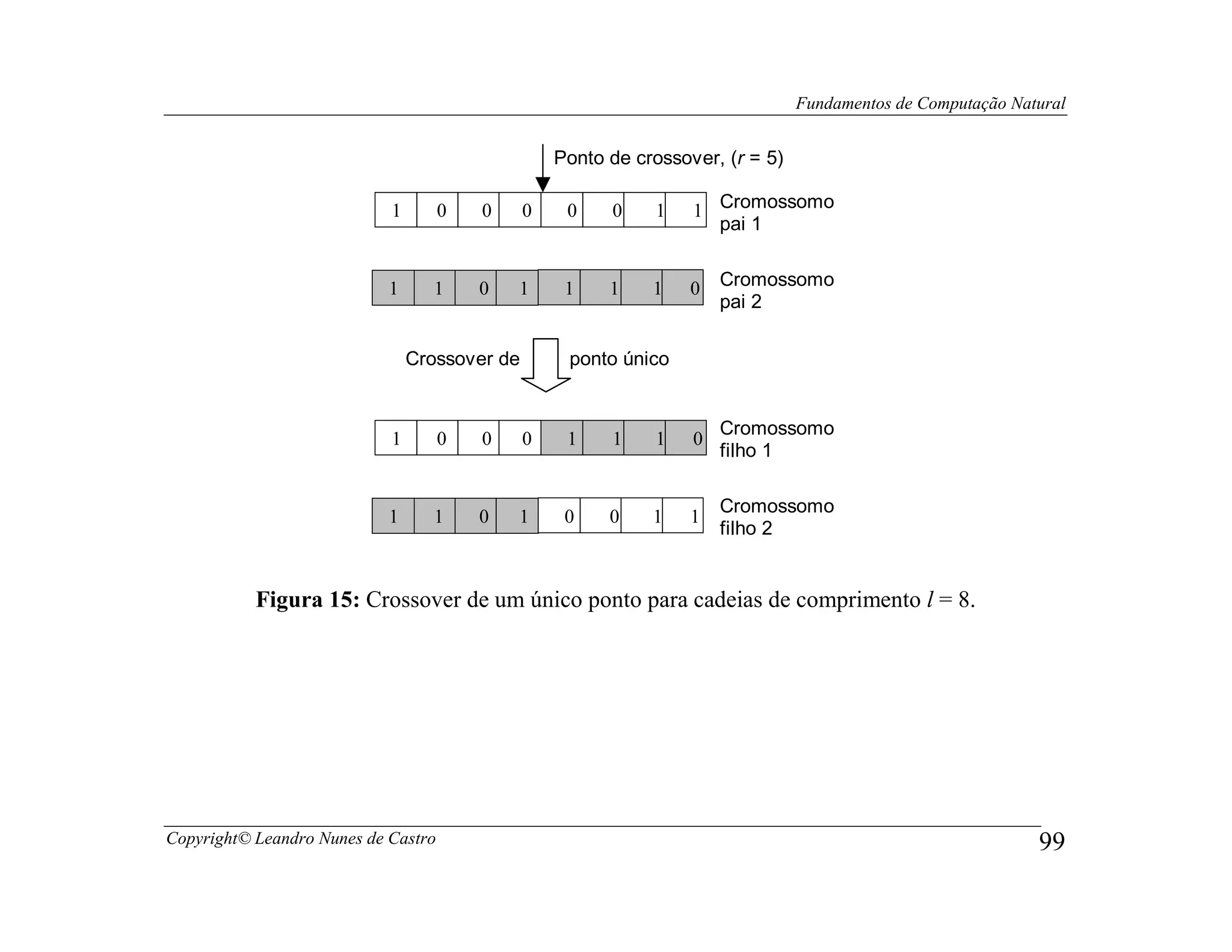 Fundamentos de Computação Natural


                                                   Ponto de crossover, (r = 5)

                            1        0   0     0    0    0    1    1 Cromossomo
                                                                     pai 1


                            1     1      0   1      1    1    1    0   Cromossomo
                                                                       pai 2

                                Crossover de        ponto único


                                                                       Cromossomo
                            1        0   0     0    1    1    1    0
                                                                       filho 1

                                                                       Cromossomo
                            1     1      0   1      0    0    1    1
                                                                       filho 2


           Figura 15: Crossover de um único ponto para cadeias de comprimento l = 8.




Copyright© Leandro Nunes de Castro                                                                            99
 