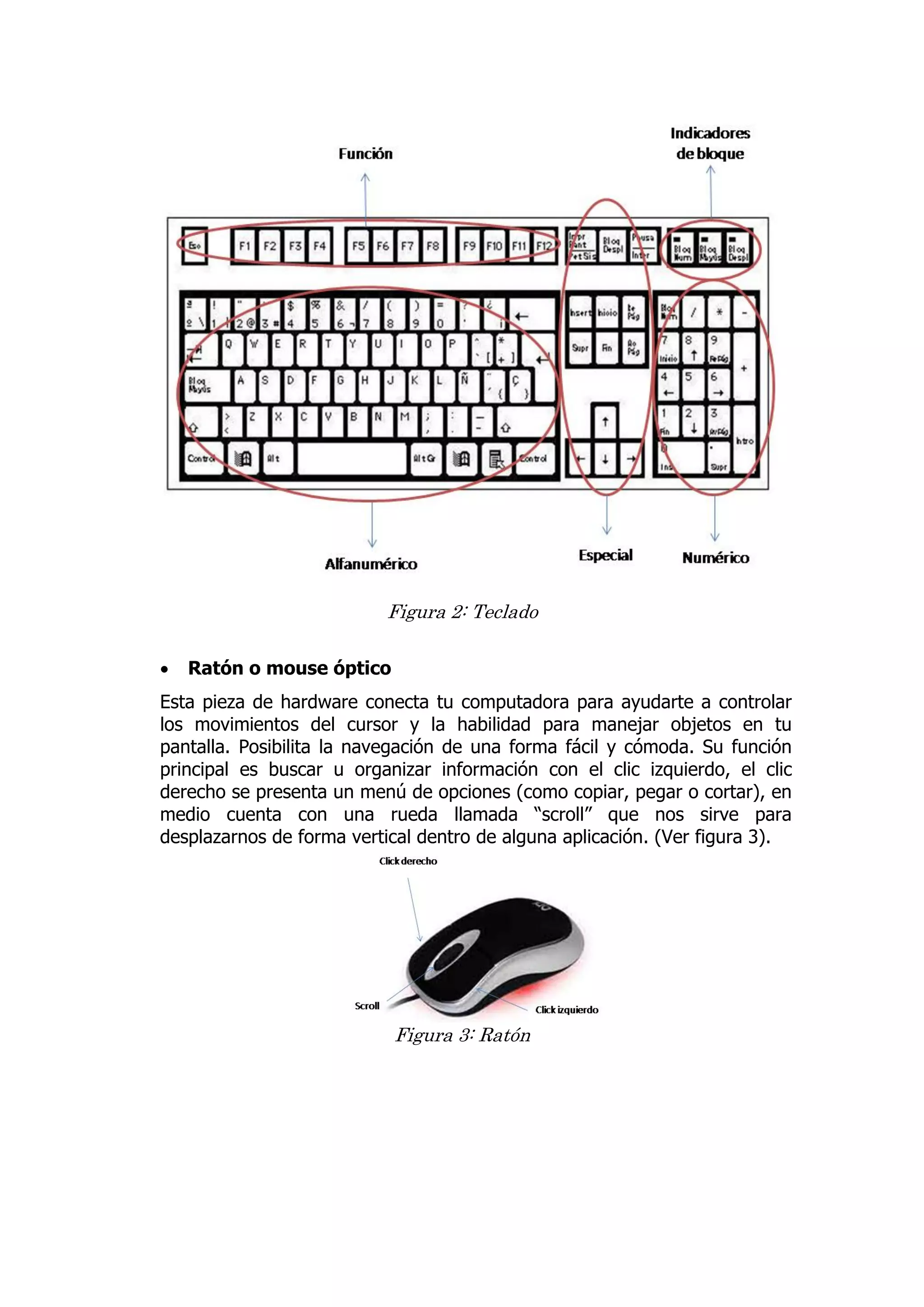 Figura 2: Teclado 
 Ratón o mouse óptico 
Esta pieza de hardware conecta tu computadora para ayudarte a controlar los movimientos del cursor y la habilidad para manejar objetos en tu pantalla. Posibilita la navegación de una forma fácil y cómoda. Su función principal es buscar u organizar información con el clic izquierdo, el clic derecho se presenta un menú de opciones (como copiar, pegar o cortar), en medio cuenta con una rueda llamada “scroll” que nos sirve para desplazarnos de forma vertical dentro de alguna aplicación. (Ver figura 3). 
Figura 3: Ratón 
 