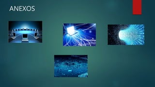 ANEXOS
 