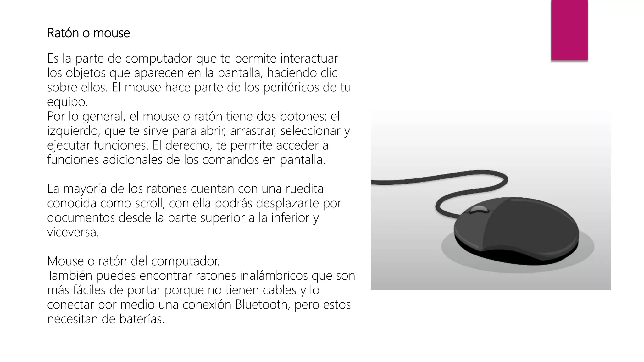 Ratón o mouse
Es la parte de computador que te permite interactuar
los objetos que aparecen en la pantalla, haciendo clic
sobre ellos. El mouse hace parte de los periféricos de tu
equipo.
Por lo general, el mouse o ratón tiene dos botones: el
izquierdo, que te sirve para abrir, arrastrar, seleccionar y
ejecutar funciones. El derecho, te permite acceder a
funciones adicionales de los comandos en pantalla.
La mayoría de los ratones cuentan con una ruedita
conocida como scroll, con ella podrás desplazarte por
documentos desde la parte superior a la inferior y
viceversa.
Mouse o ratón del computador.
También puedes encontrar ratones inalámbricos que son
más fáciles de portar porque no tienen cables y lo
conectar por medio una conexión Bluetooth, pero estos
necesitan de baterías.
 