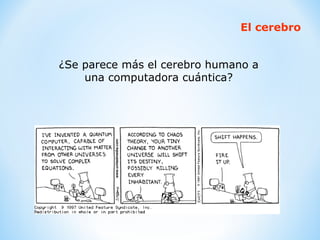 El cerebro ¿Se parece más el cerebro humano a una computadora cuántica? 