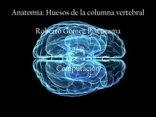 Anatomía: Huesos de la columna vertebral

       Roberto Gómez Piscocama

                  2º B

             Computación
 