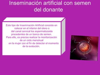 Inseminación artificial con semen
del donante
Este tipo de Inseminación Artificial consiste en
colocar en el interior del útero o
del canal cervical los espermatozoide
procedentes de un banco de semen.
Para ello, es preciso realizar la monitorización
de un ciclo menstrual
en la mujer con el fin de detectar el momento
de la evolución.
 