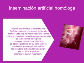 Inseminación artificial homóloga
Recibe este nombre la Inseminación
Artificial realizada con semen del propio
marido. Este tipo de inseminación es la más
indicada cuando el varón tiene alguna anomalía
en la anatomía de su pene,
como por ejemplo que el orificio
de éste se presente en su parte inferior,
con lo cual a sus espermatozoides
les resultaría extremadamente difícil,
por no decir imposible,
alcanzar el óvulo y fecundarlo.
 