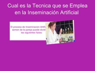 Cual es la Tecnica que se Emplea
en la Inseminación Artificial
El proceso de Inseminacion Artificial con
semen de la pareja puede dividirse en
las siguientes fases:
 