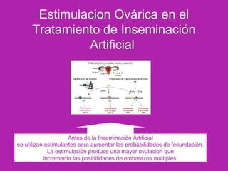 Estimulacion Ovárica en el
Tratamiento de Inseminación
Artificial
Antes de la Inseminación Artificial
se utilizan estimulantes para aumentar las probabilidades de fecundación.
La estimulación produce una mayor ovulación que
incrementa las posibilidades de embarazos múltiples.
 