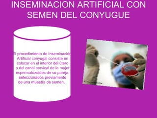 INSEMINACION ARTIFICIAL CON
SEMEN DEL CONYUGUE
El procedimiento de Inseminación
Artificial conyugal consiste en
colocar en el interior del útero
o del canal cervical de la mujer
espermatozoides de su pareja,
seleccionados previamente
de una muestra de semen.
 