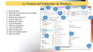 La Ventana del Explorador de Windows
1. Barra de título
2. Barra de herramientas de acceso rápido
3. Barra de menús
4. Botones de navegación
5. Cinta de opciones
6. Botones de control
7. Caja de búsqueda
8. Panel de navegación
9. Área de contenido
10. Barra de dirección
11. Barras de desplazamiento
12. Barra de estado
1
12
11
10
9
8
7
6
5
4
3
2
 