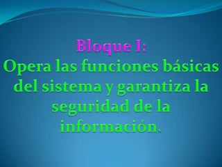 Bloque I: Opera las funciones básicas del sistema y garantiza la seguridad de la información. 