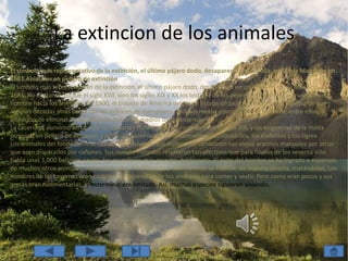 La extincion de los animalesEl símbolo más representativo de la extinción, el último pájaro dodo, desapareció en una olla, en la isla Mauricio, en 1681.Animales en peligro de extinciónEl símbolo más representativo de la extinción, el último pájaro dodo, desapareció en una olla, en la isla Mauricio, en 1681. No obstante, no fue el siglo XVII, sino los siglos XIX y XX los testigos de los peores ejemplos de la crueldad del hombre hacia los animales. En 1900, el bisonte de América del Norte estaba en peligro de extinción, a pesar de que algunas décadas atrás había casi 40 millones de ejemplares. Muchos motivos propiciaron la masacre; entre ellos, la intención de eliminar de las praderas indias los medios de subsistencia.La cacería se convirtió en uno de los deportes favoritos de los ricos durante el siglo XIX, y las exigencias de la moda pusieron en peligro de extinción a otros animales como los rinocerontes, los cocodrilos, los elefantes y los tigres.Los animales del fondo del mar tampoco se salvaron. Los balleneros cambiaron sus viejos arpones manuales por otros que eran disparados por cañones. Sus nuevos métodos resultaron tan efectivos que para finales de los sesenta sólo había unas 1,000 ballenas azules, los mamíferos más grandes del planeta. El éxito del hombre se ha logrado a expensas de muchos otros animales: indirectamente, modificando o destruyendo su hábitat; de manera directa, matándolos. Los hombres de las cavernas eran cazadores y dependían de los animales para comer y vestir. Pero como eran pocos y sus armas eran rudimentarias, el exterminio era limitado. Así, muchas especies siguieron viviendo.
