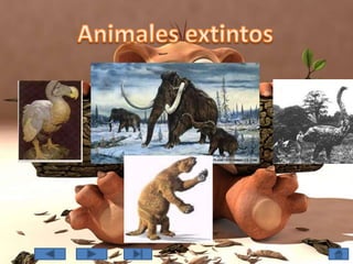 Animales extintos