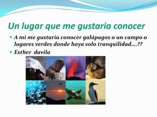 Un lugar que me gustaria conocer
A mi me gustaría conocer galápagos o un campo o
lugares verdes donde haya solo tranquilidad….??
Esther davila