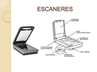 ESCANERES
 