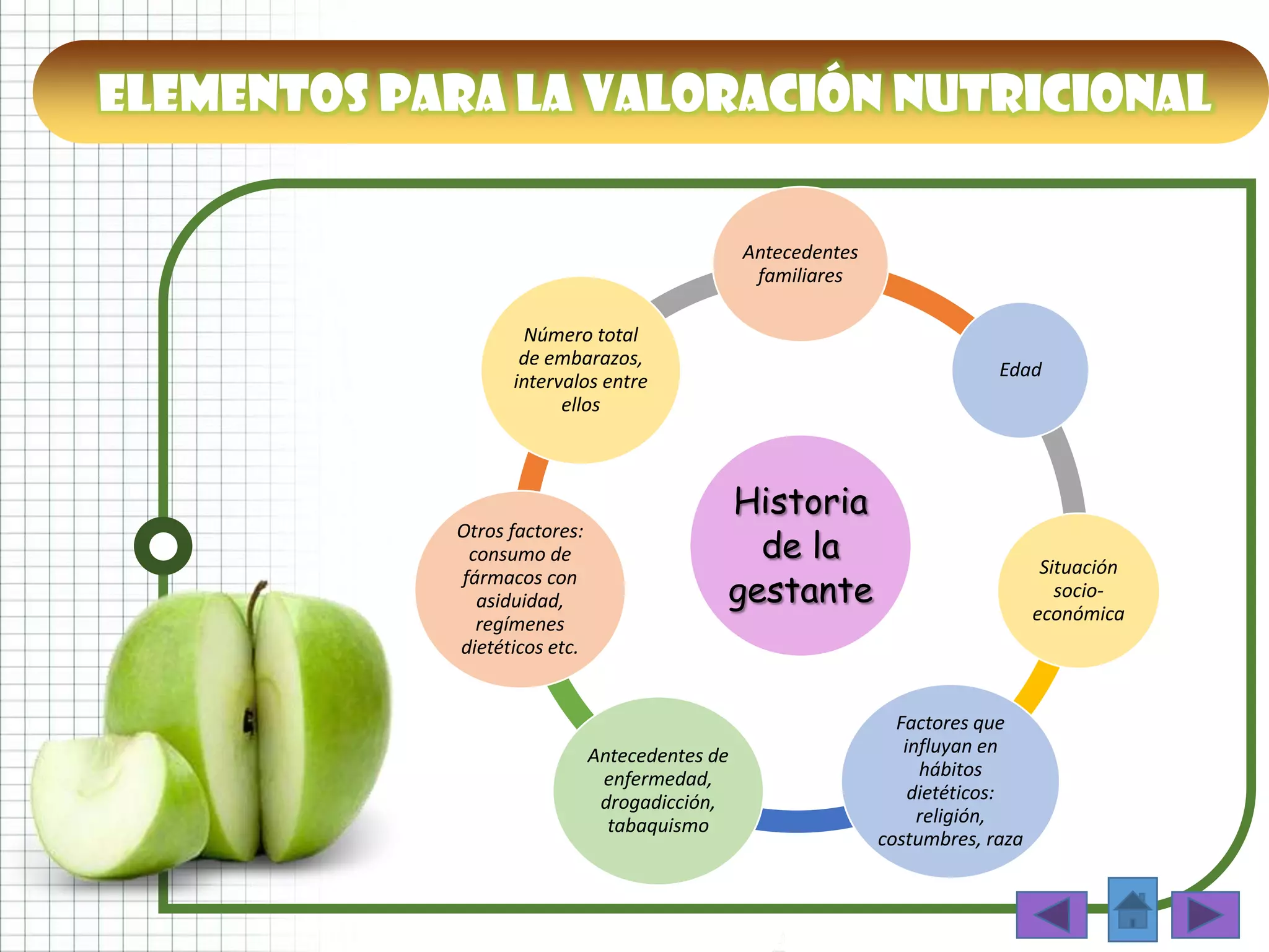 ELEMENTOS PARA LA VALORACIÓN NUTRICIONAL
Historia
de la
gestante
Antecedentes
familiares
Edad
Situación
socio-
económica
Factores que
influyan en
hábitos
dietéticos:
religión,
costumbres, raza
Antecedentes de
enfermedad,
drogadicción,
tabaquismo
Otros factores:
consumo de
fármacos con
asiduidad,
regímenes
dietéticos etc.
Número total
de embarazos,
intervalos entre
ellos
 
