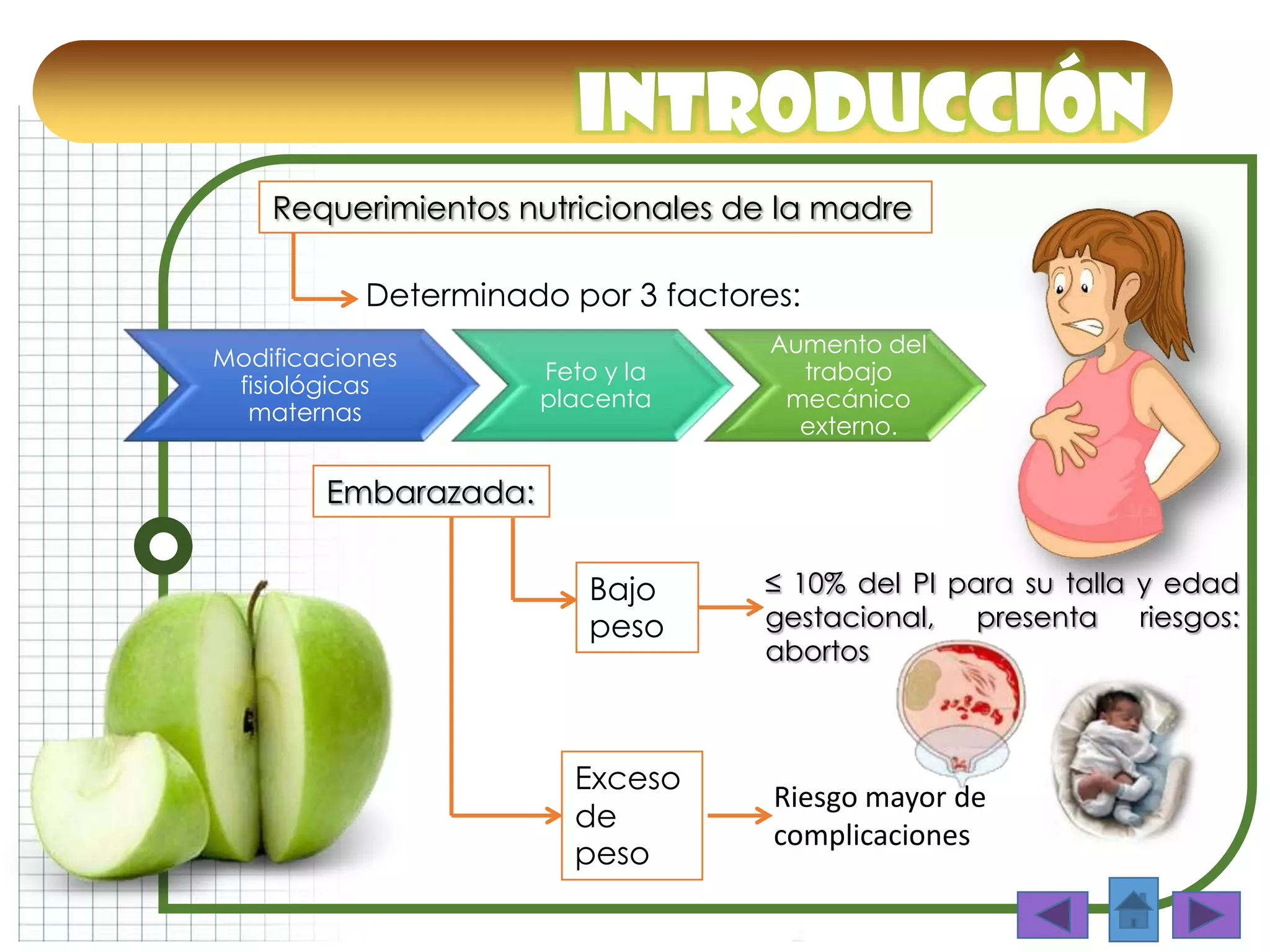 INTRODUCCIÓN
Embarazada:
Bajo
peso
Exceso
de
peso
≤ 10% del PI para su talla y edad
gestacional, presenta riesgos:
abortos
Riesgo mayor de
complicaciones
Modificaciones
fisiológicas
maternas
Feto y la
placenta
Aumento del
trabajo
mecánico
externo.
Determinado por 3 factores:
Requerimientos nutricionales de la madre
 