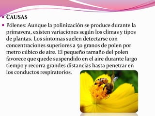  CAUSAS
 Pólenes: Aunque la polinización se produce durante la

primavera, existen variaciones según los climas y tipos
de plantas. Los síntomas suelen detectarse con
concentraciones superiores a 50 granos de polen por
metro cúbico de aire. El pequeño tamaño del polen
favorece que quede suspendido en el aire durante largo
tiempo y recorra grandes distancias hasta penetrar en
los conductos respiratorios.

 
