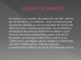 Se estima un numero de especies de 324, dentro
de 42 familias y 13 ordenes; este numero puede
aumentar debido a nuevos estudios en zonas de
difícil acceso y poco exploradas. La cantidad y
diversidad de aves en el BPMN se debe a que
incluye dos areas endemicas para aves en el
Ecuador: La bioregion del Chocó (de 0 a los
1200msnm) y la region de los andes occidentales
(de 500 a 3000msnm), mismas que son
consideradas críticas, es decir son taxones únicos.
4
 