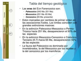 Tabla del tiempo geológico
• Las eras del Eón Fanerozoico son:
– Paleozoico (543 Ma–251 Ma)
– Mesozoico (251 Ma–65 Ma)
– Cenozoico (65 Ma–presente)
• Están marcadas por cambios de primer orden en
las asociaciones fósiles. Los límites coinciden con
grandes extinciones masivas:
• En la extinción Paleozoico-Mesozoico o Permo-
Triásica hacia 251 Ma, desaparecieron el 95% de
las especies
• En la extinción Mesozoico-Cenozoico o Cretácico-
Terciario (K-T) hacia 65 Ma, desaparecieron 50%
de las especies
• La fauna del Paleozoico es dominada por
invertebrados, la del Mesozoico por los reptiles y
la del cenozoico por los mamíferos.
 