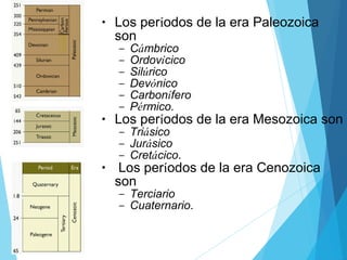 • Los períodos de la era Paleozoica
son
– Cámbrico
– Ordovícico
– Silúrico
– Devónico
– Carbonífero
– Pérmico.
• Los períodos de la era Mesozoica son
– Triásico
– Jurásico
– Cretácico.
• Los períodos de la era Cenozoica
son
– Terciario
– Cuaternario.
 