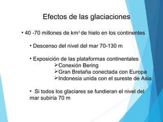 Efectos de las glaciaciones
• 40 -70 millones de km3
de hielo en los continentes
• Descenso del nivel del mar 70-130 m
• Exposición de las plataformas continentales
Conexión Bering
Gran Bretaña conectada con Europa
Indonesia unida con el sureste de Asia
• Si todos los glaciares se fundieran el nivel del
mar subiría 70 m
 