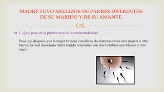 
 1. ¿Qué paso en el primer caso de superfecundación?
Paso que después que la mujer tuviera 2 mellizos de distintas razas una mulata y otra
blanca, la cual menciono haber tenido relaciones con dos hombres uno blanco y otro
negro
MADRE TUVO MELLIZOS DE PADRES DIFERENTES:
DE SU MARIDO Y DE SU AMANTE.
 