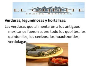 Verduras, leguminosas y hortalizas:
Las verduras que alimentaron a los antiguos
  mexicanos fueron sobre todo los quelites, los
  quintoniles, los cenizos, los huauhzontles,
  verdolagas.
 