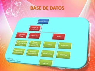 BASE DE DATOS