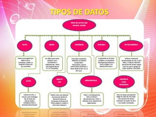TIPOS DE DATOS