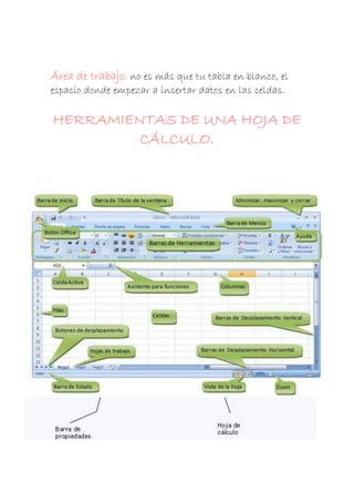 Área de trabajo: no es más que tu tabla en blanco, el
espacio donde empezar a insertar datos en las celdas.

HERRAMIENTAS DE UNA HOJA DE
CÁLCULO.

 