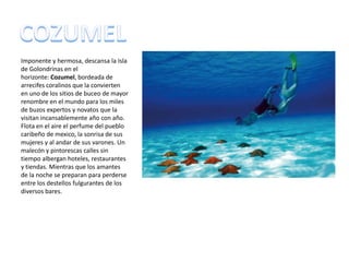 Imponente y hermosa, descansa la Isla de Golondrinas en el horizonte: Cozumel, bordeada de arrecifes coralinos que la convierten en uno de los sitios de buceo de mayor renombre en el mundo para los miles de buzos expertos y novatos que la visitan incansablemente año con año. Flota en el aire el perfume del pueblo caribeño de mexico, la sonrisa de sus mujeres y al andar de sus varones. Un malecón y pintorescas calles sin tiempo albergan hoteles, restaurantes y tiendas. Mientras que los amantes de la noche se preparan para perderse entre los destellos fulgurantes de los diversos bares.COZUMEL