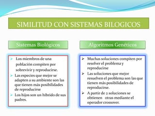 SIMILITUD CON SISTEMAS BILOGICOS

   Sistemas Biológicos                  Algoritmos Genéticos

 Los miembros de una                Muchas soluciones compiten por
   población compiten por             resolver el problema y
   sobrevivir y reproducirse.         reproducirse
 Las especies que mejor se
                                     Las soluciones que mejor
  adapten a su ambiente son las       resuelven el problema son las que
  que tienen más posibilidades        tienen más posibilidades de
  de reproducirse                     reproducirse.
 Los hijos son un híbrido de sus
                                     A partir de 2 soluciones se
  padres.                             obtienen otras mediante el
                                      operador crossover.
 